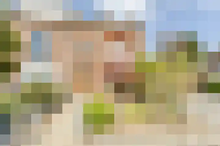 Roerdomplaan 35 Rotterdam thumbnail 6