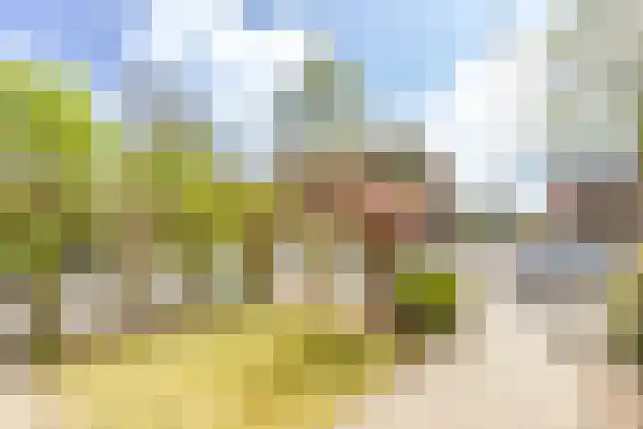 Roerdomplaan 35 Rotterdam thumbnail 7