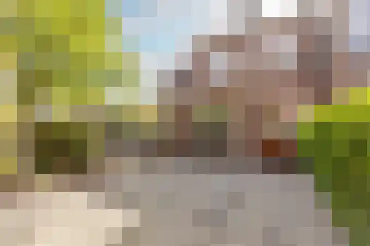Roerdomplaan 35 Rotterdam thumbnail 8