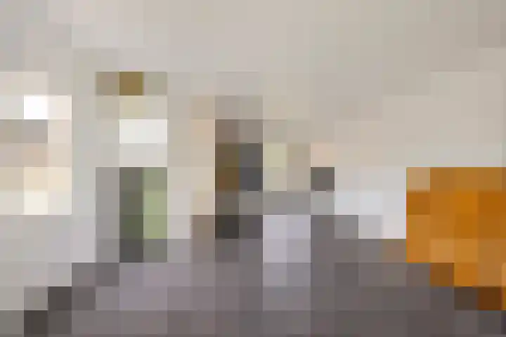 Roerdomplaan 37 Heerenveen thumbnail 17