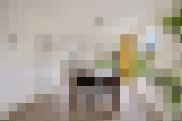 Roerdomplaan 37 Heerenveen thumbnail 18