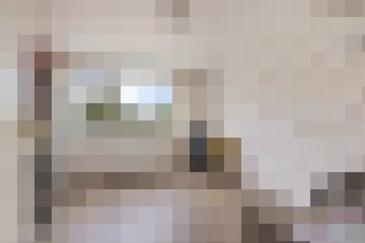Roerdomplaan 37 Heerenveen thumbnail 28