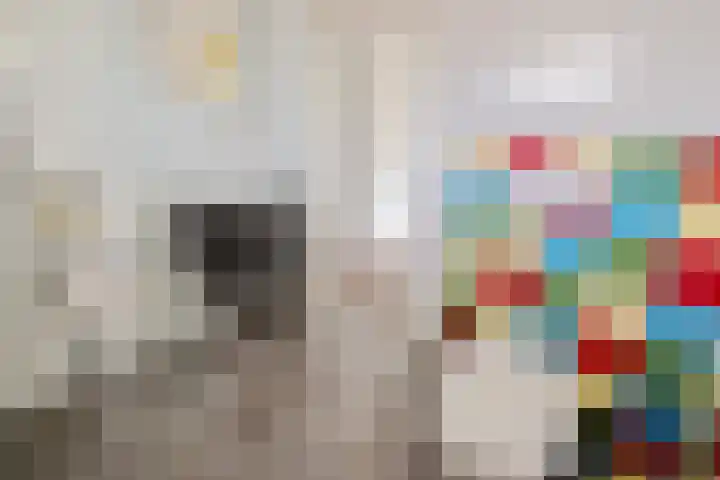 Roerdomplaan 37 Heerenveen thumbnail 34