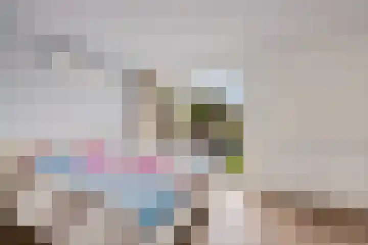 Roerdomplaan 37 Heerenveen thumbnail 35