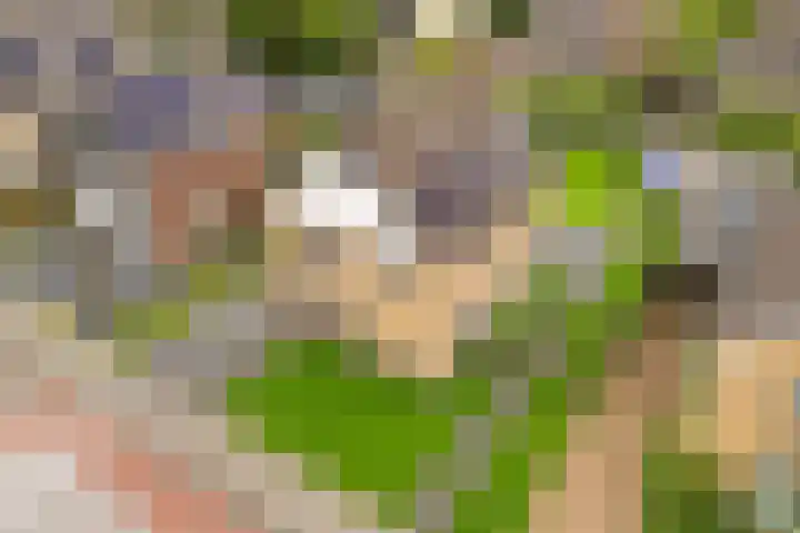Roerdomplaan 37 Heerenveen thumbnail 46
