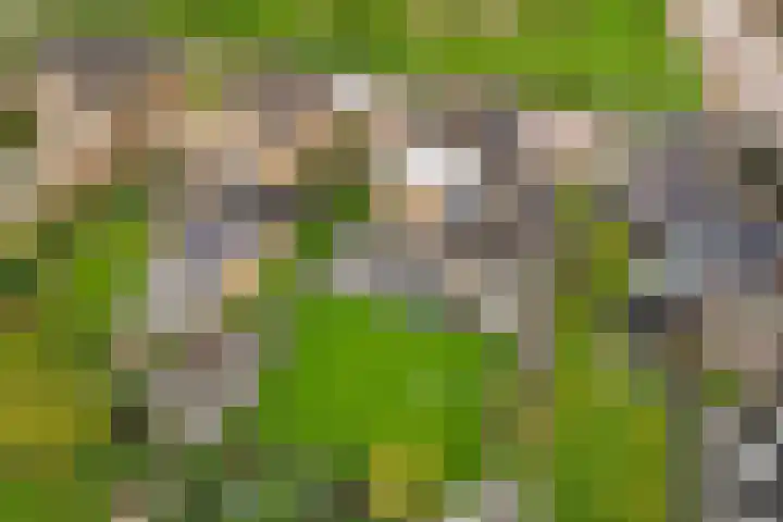 Roerdomplaan 37 Heerenveen thumbnail 48