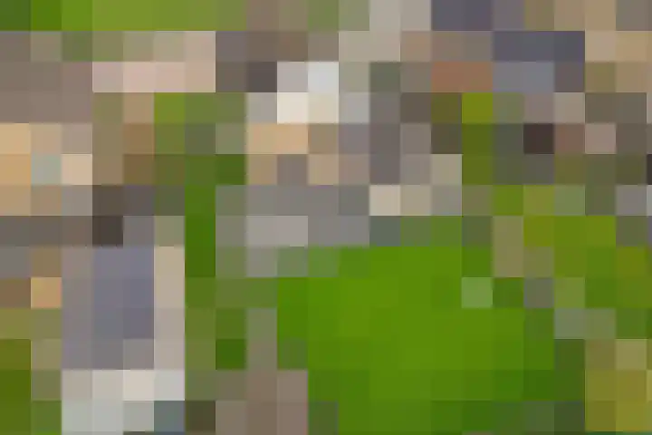 Roerdomplaan 37 Heerenveen thumbnail 49