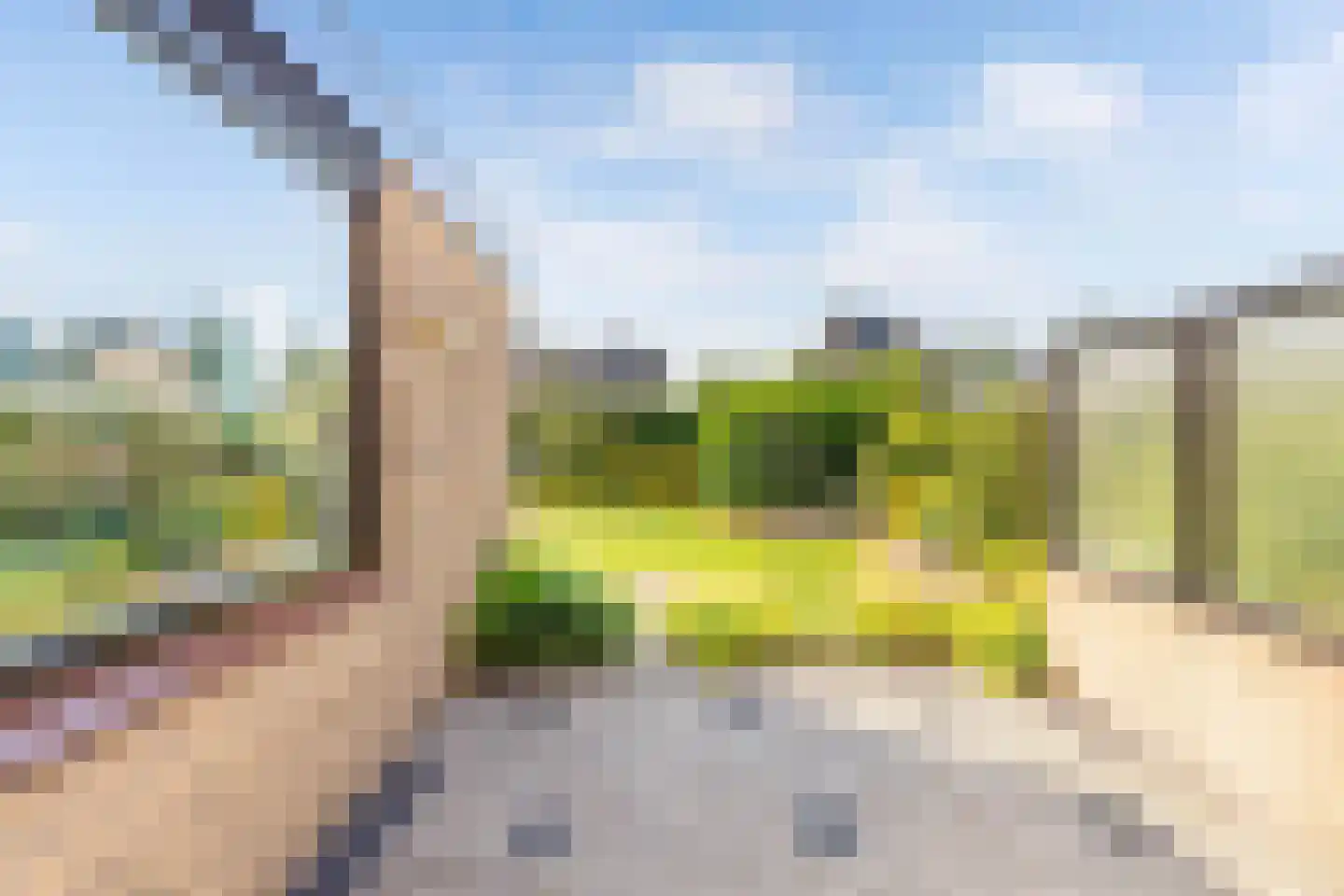 Roerdomplaan 39 Heerenveen thumbnail 31