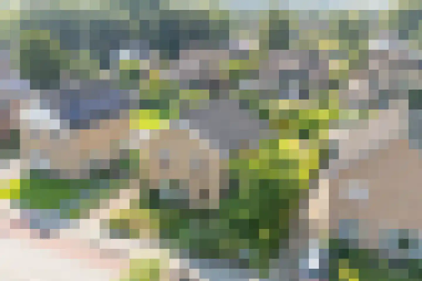 Roerdomplaan 39 Heerenveen thumbnail 37