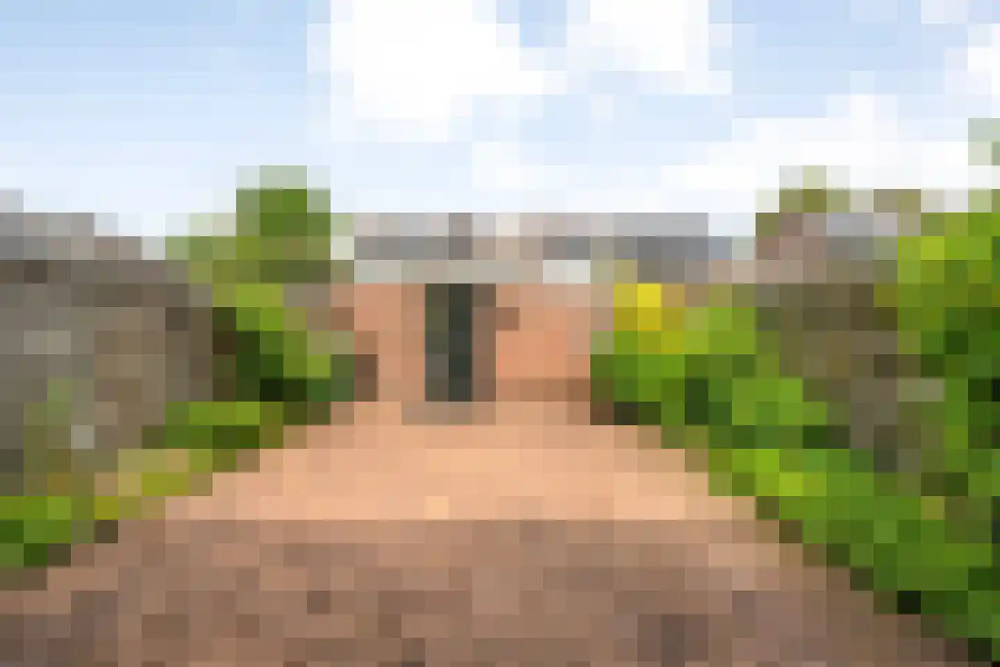 Roerdomplaan 5 Hoogeveen thumbnail 29