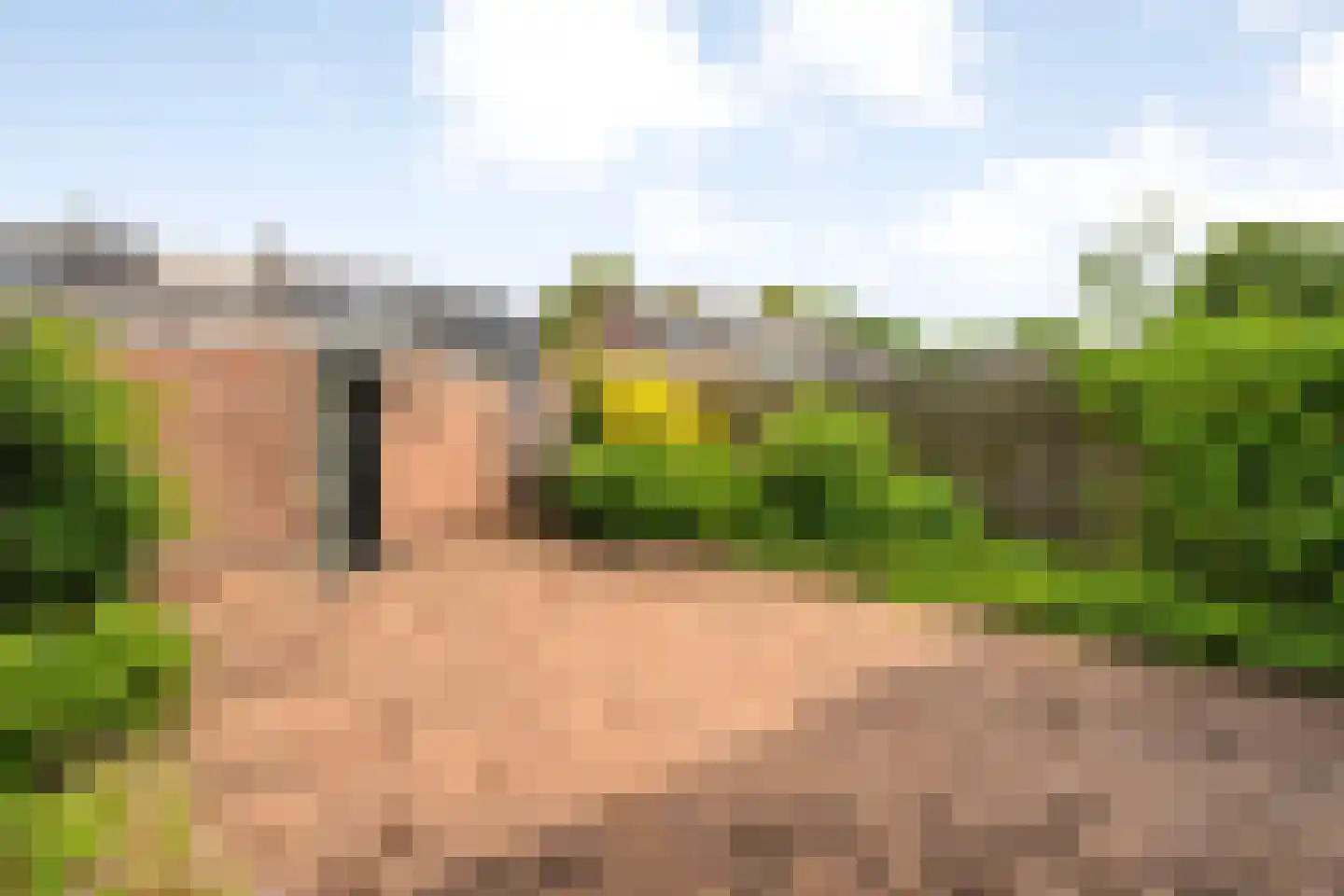 Roerdomplaan 5 Hoogeveen thumbnail 30