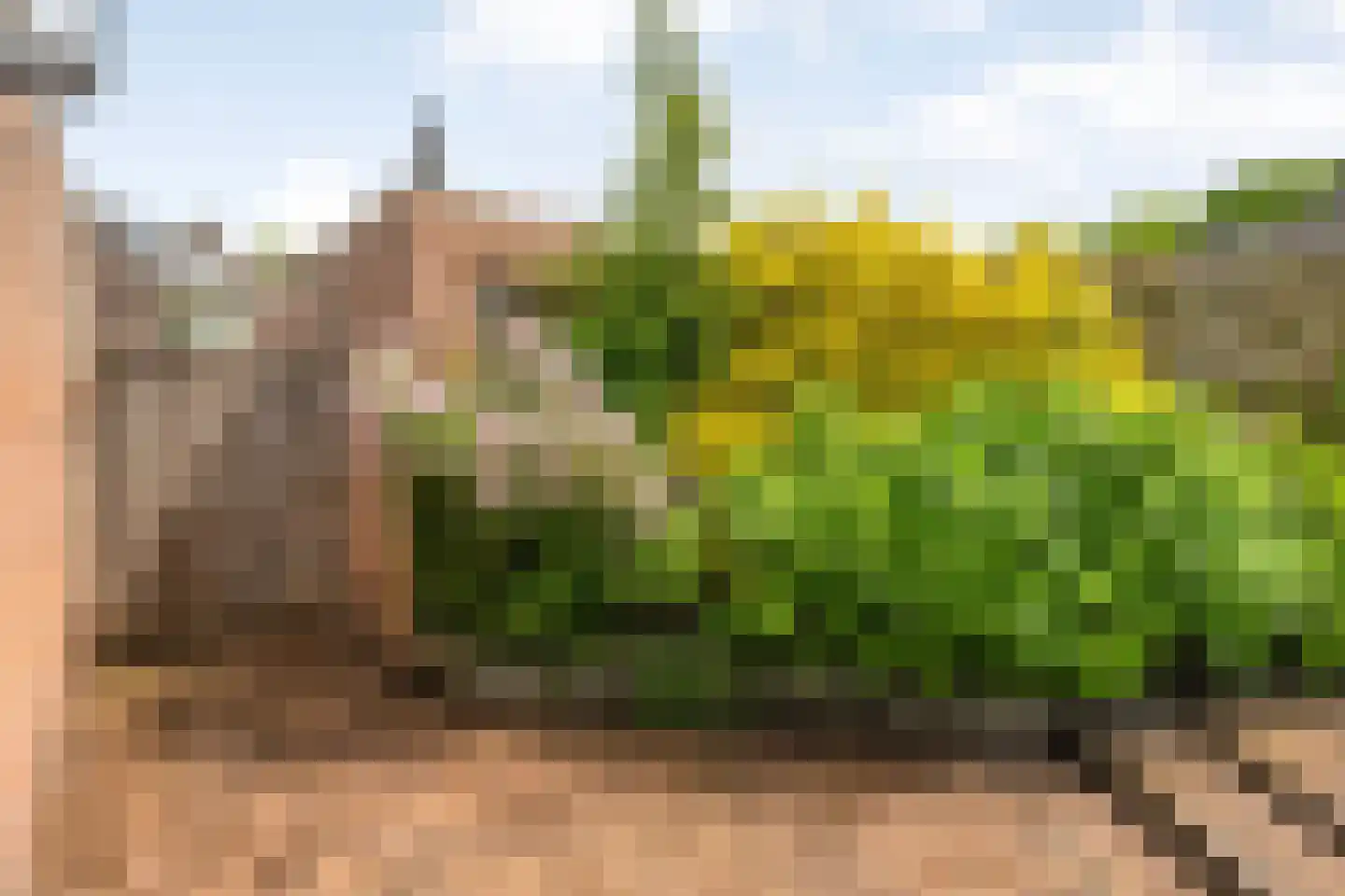 Roerdomplaan 5 Hoogeveen thumbnail 32