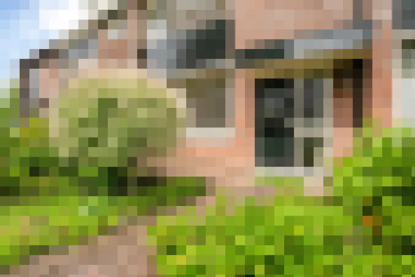 Roerdomplaan 5 Hoogeveen thumbnail 4