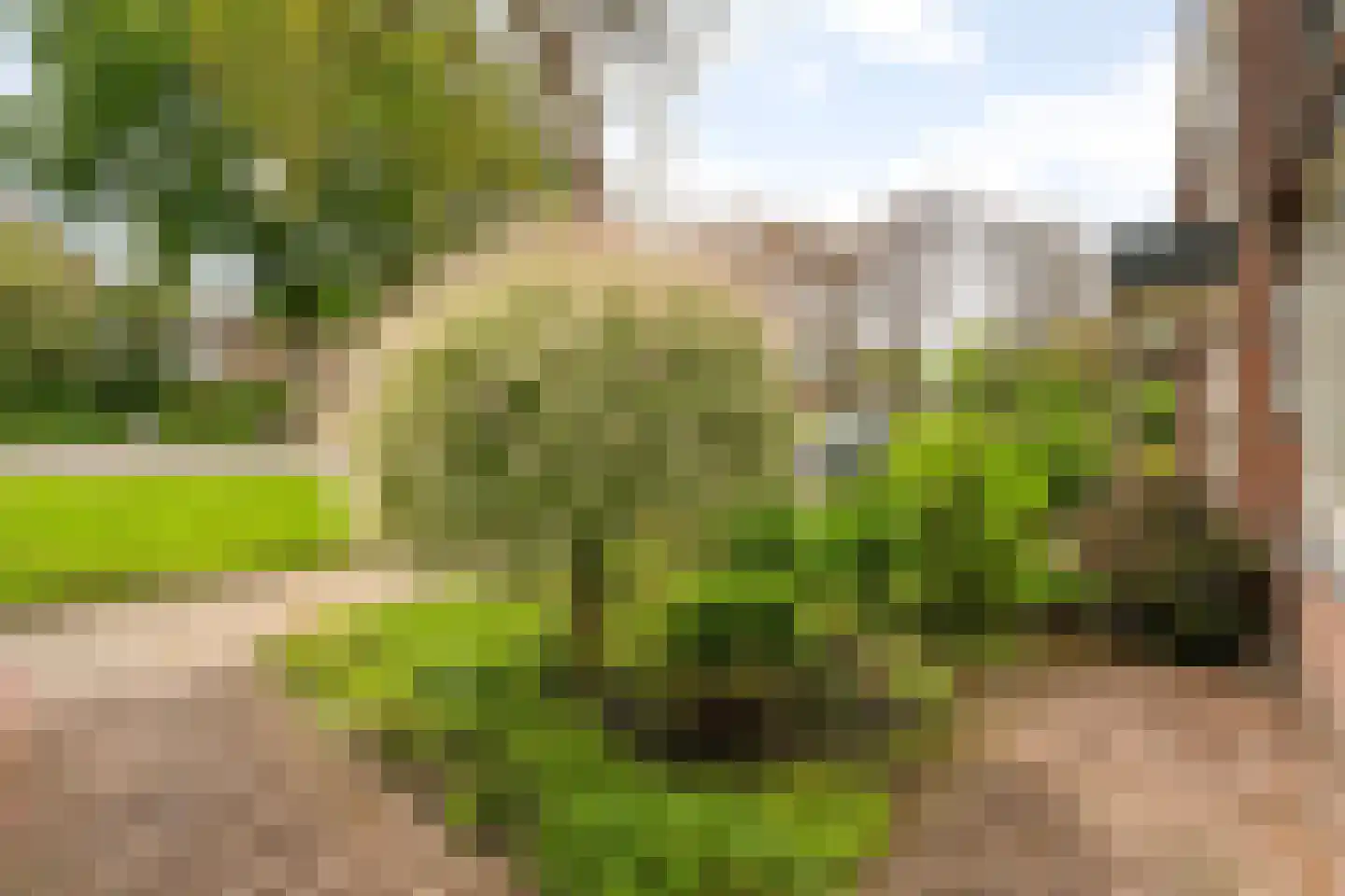 Roerdomplaan 5 Hoogeveen thumbnail 40