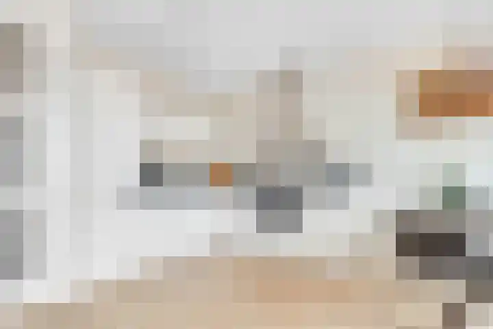 Roerdomplaan 51 Zeist thumbnail 15