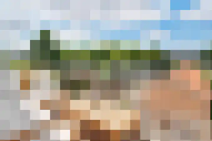 Roerdomplaan 51 Zeist thumbnail 32