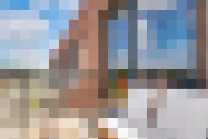 Roerdomplaan 51 Zeist thumbnail 34