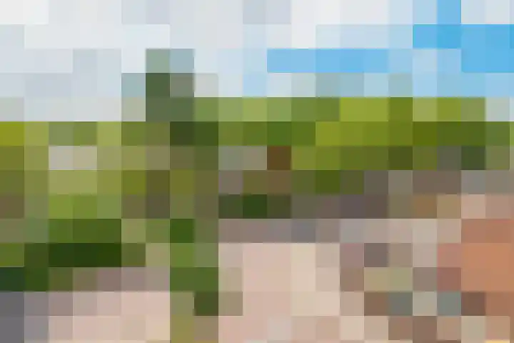 Roerdomplaan 51 Zeist thumbnail 36