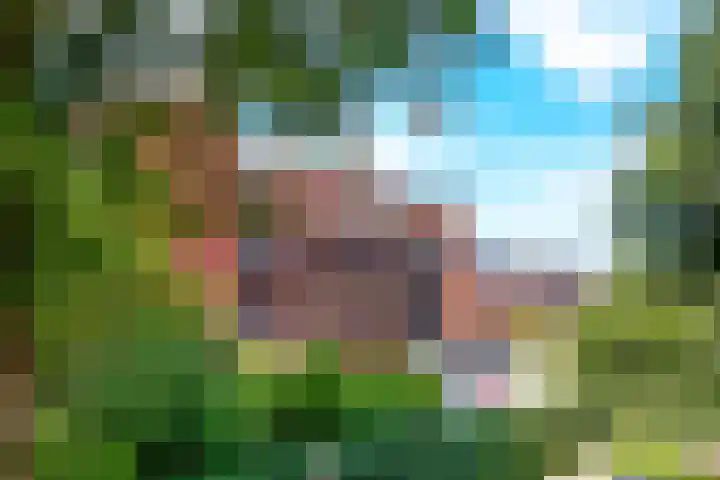 Roerdomplaan 51 Zeist thumbnail 39