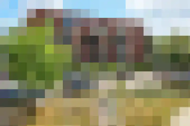 Roerdomplaan 51 Zeist thumbnail 4
