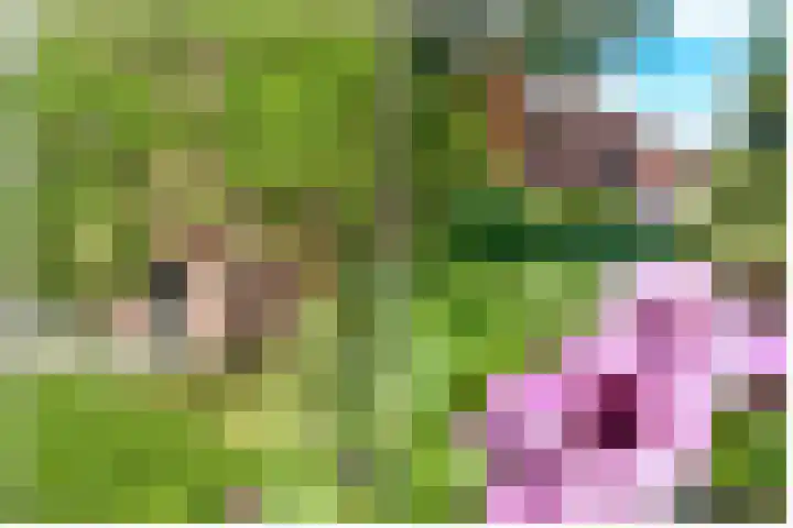 Roerdomplaan 51 Zeist thumbnail 6