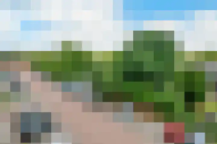 Roerdomplaan 51 Zeist thumbnail 8