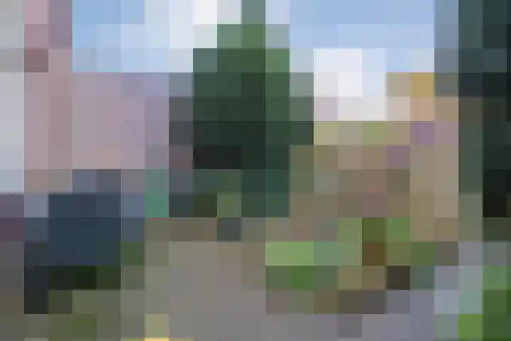 Roerdomplaan 61 Hoogeveen thumbnail 28