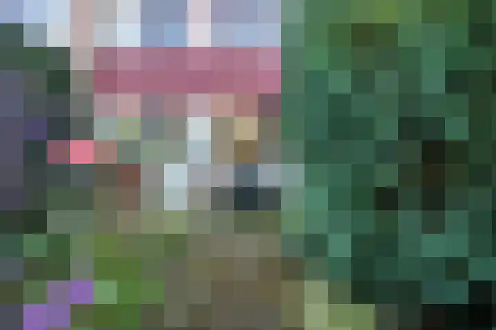 Roerdomplaan 61 Hoogeveen thumbnail 30