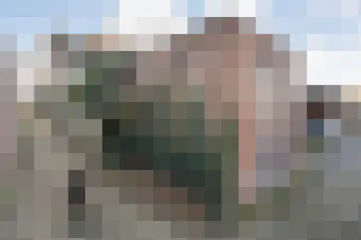 Roerdomplaan 61 Hoogeveen thumbnail 34