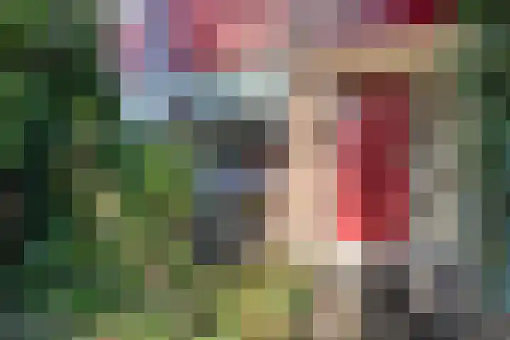 Roerdomplaan 61 Hoogeveen thumbnail 35