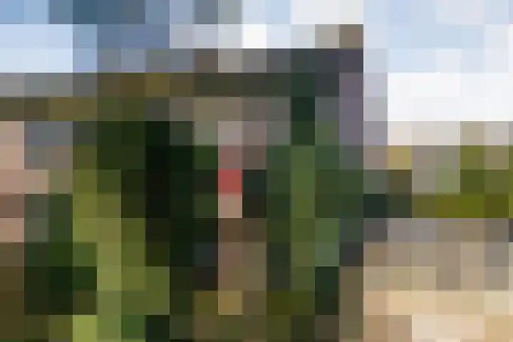 Roerdomplaan 61 Hoogeveen thumbnail 36