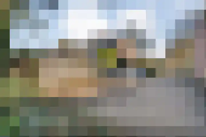 Roerdomplaan 61 Hoogeveen thumbnail 37