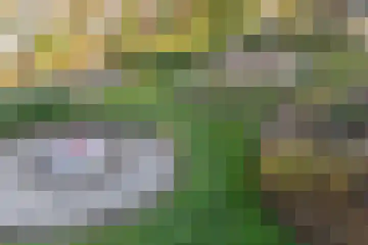 Roerdomplaan 61 Hoogeveen thumbnail 38