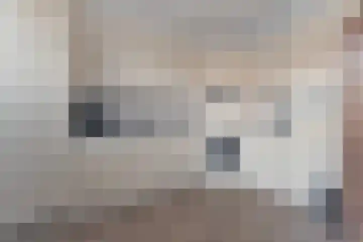 Roerdomplaan 61 Hoogeveen thumbnail 8