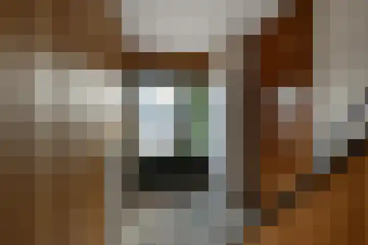 Roerdomplaan 66 Aalsmeer thumbnail 12