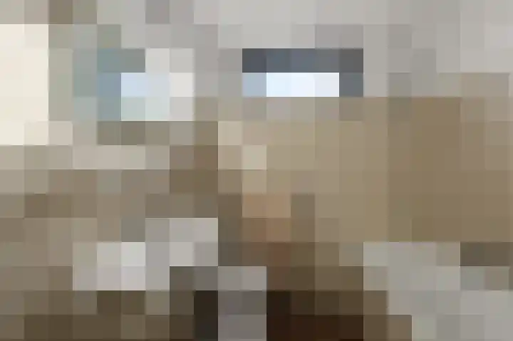 Roerdomplaan 66 Aalsmeer thumbnail 19