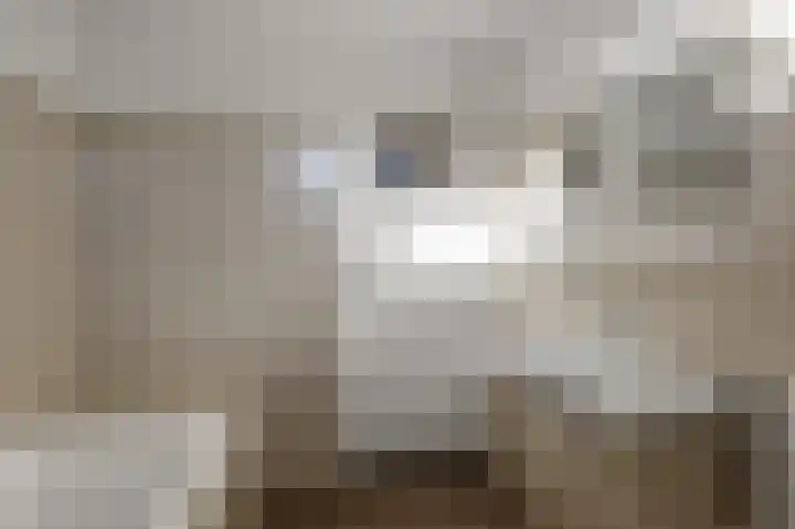 Roerdomplaan 66 Aalsmeer thumbnail 20