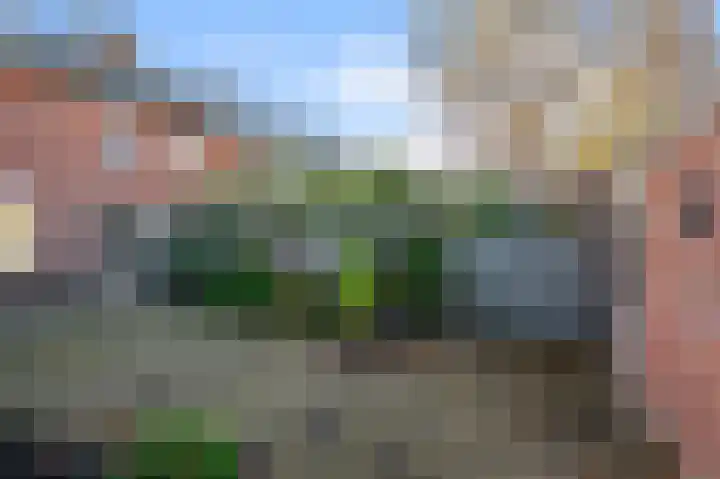Roerdomplaan 66 Aalsmeer thumbnail 27