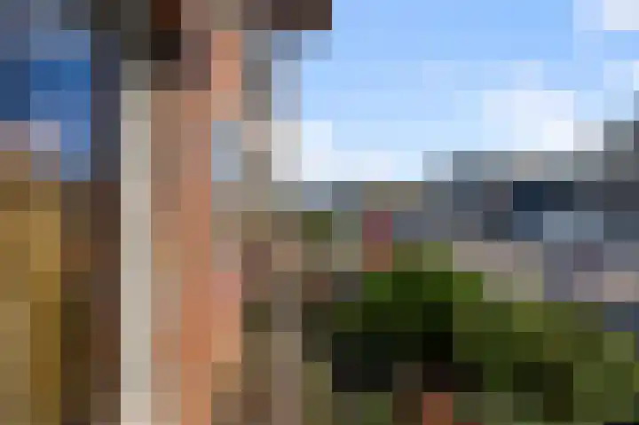 Roerdomplaan 66 Aalsmeer thumbnail 29