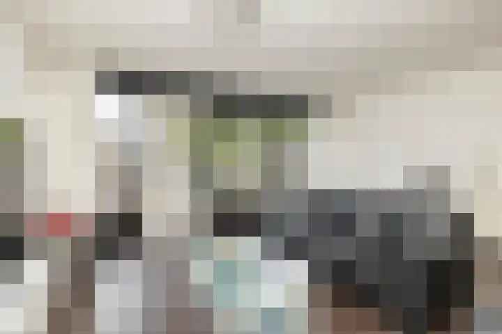 Roerdomplaan 84 Hoogeveen thumbnail 13