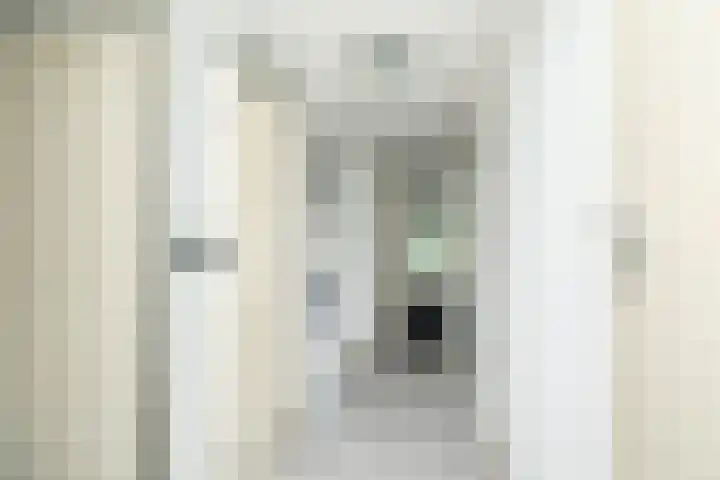 Roerdomplaan 84 Hoogeveen thumbnail 23