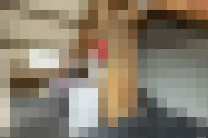 Roerdomplaan 84 Hoogeveen thumbnail 36