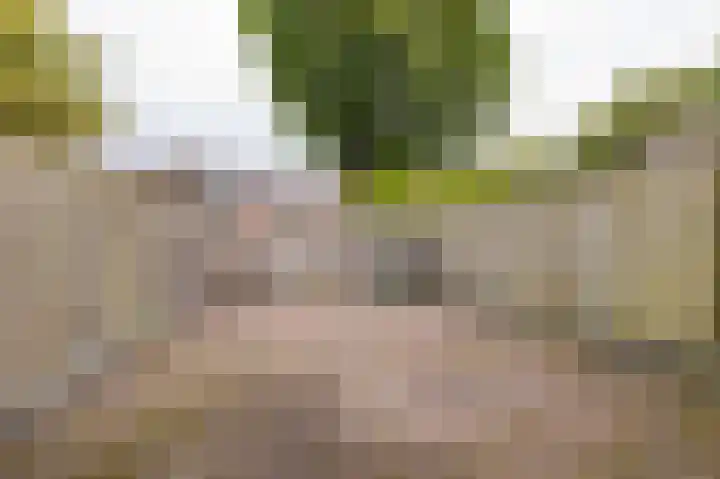 Roerdomplaan 84 Hoogeveen thumbnail 41