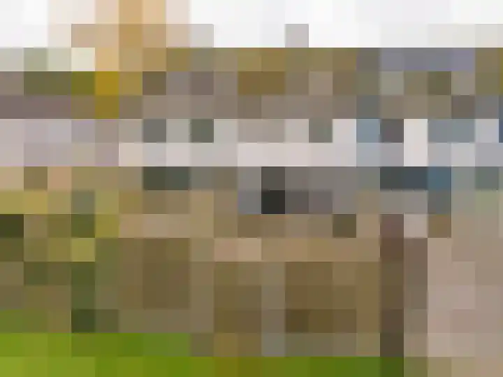 Roerdomplaan 84 Hoogeveen thumbnail 42