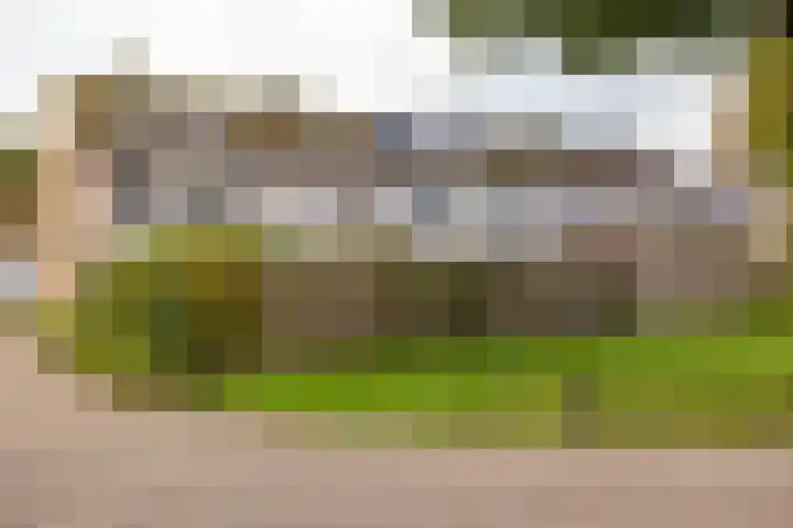 Roerdomplaan 84 Hoogeveen thumbnail 45