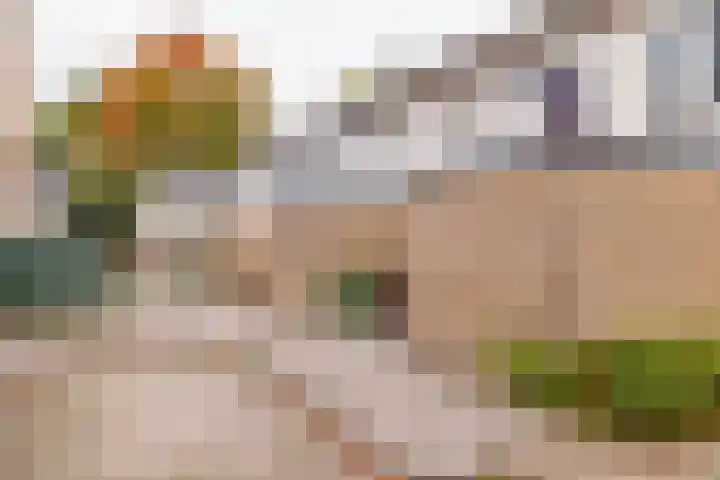 Roerdomplaan 84 Hoogeveen thumbnail 51