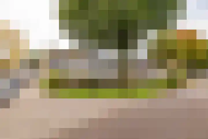 Roerdomplaan 84 Hoogeveen thumbnail 53