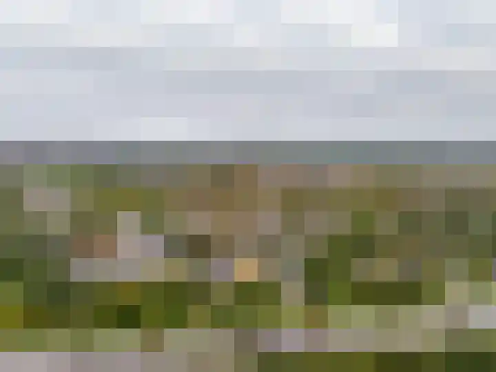 Roerdomplaan 84 Hoogeveen thumbnail 54