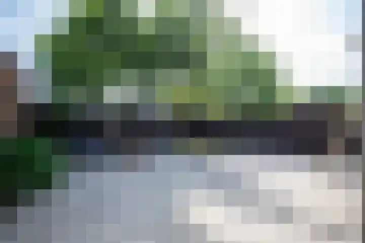 Roerdomplaan 96 Aalsmeer thumbnail 38