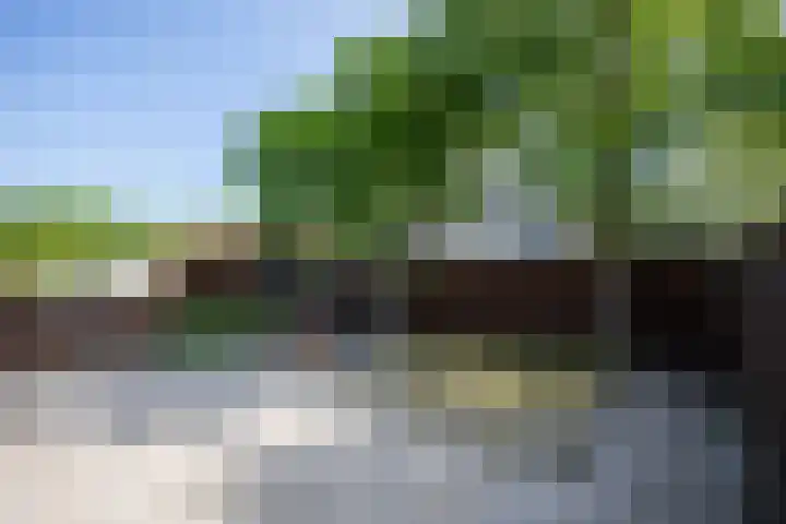 Roerdomplaan 96 Aalsmeer thumbnail 39